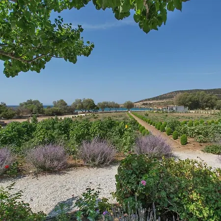 Seaside Ktima Kaparos Paros Villa