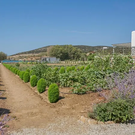 Seaside Ktima Kaparos Paros *