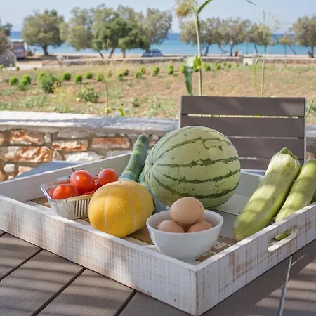 Villa Seaside Ktima Kaparos Paros *