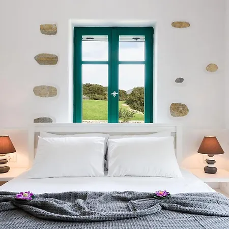 Seaside Ktima Kaparos Paros Villa Drios