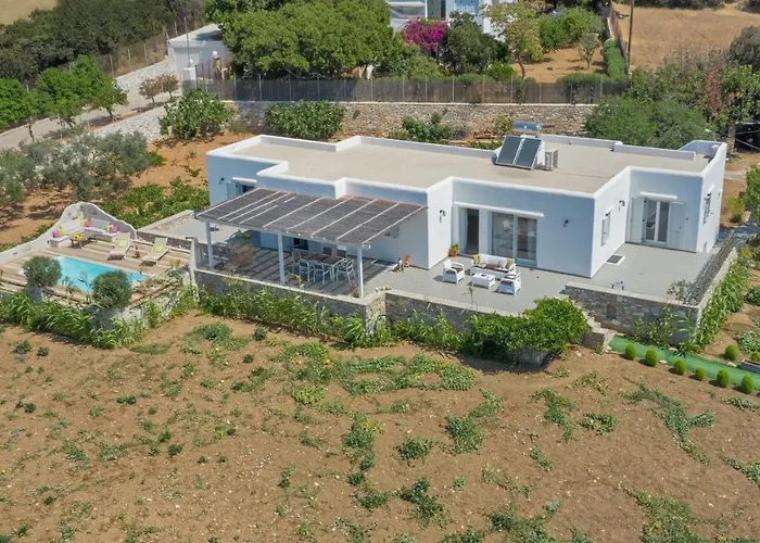 Seaside Ktima Kaparos Paros Δρυός