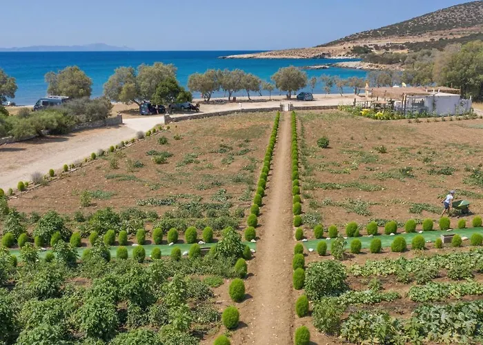 Βίλα Seaside Ktima Kaparos Paros Δρυός