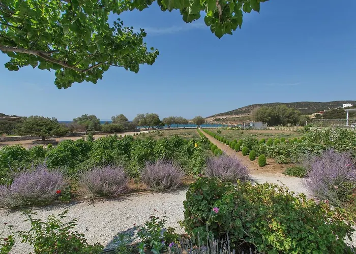 Seaside Ktima Kaparos Paros Βίλα