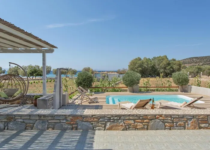 Seaside Ktima Kaparos Paros Βίλα Δρυός