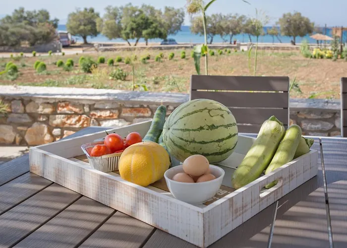 Βίλα Seaside Ktima Kaparos Paros *