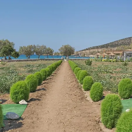 Villa Seaside Ktima Kaparos Paros *