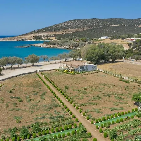 Seaside Ktima Kaparos Paros