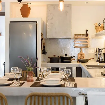 Villa Seaside Ktima Kaparos Paros Drios