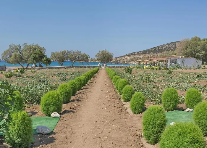 Villa Seaside Ktima Kaparos Paros *