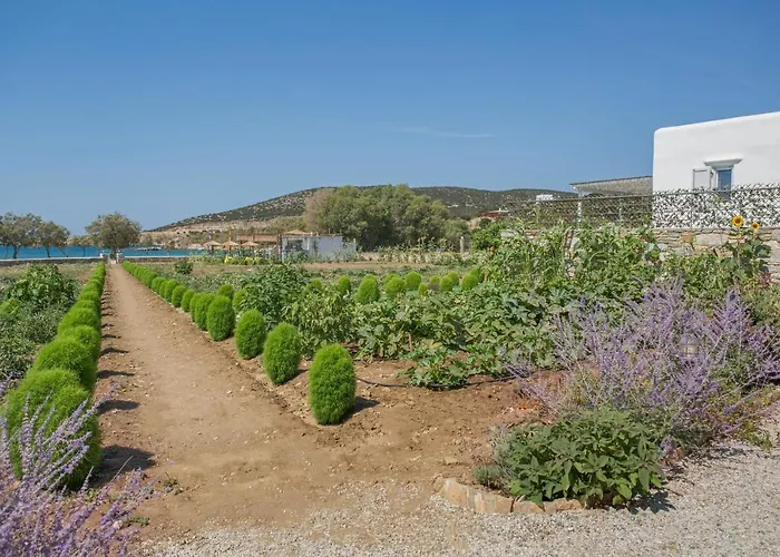 Seaside Ktima Kaparos Paros *
